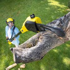 Best Soil Testing and Treatment  in Moss Point, MS